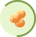 Fund Calculator
